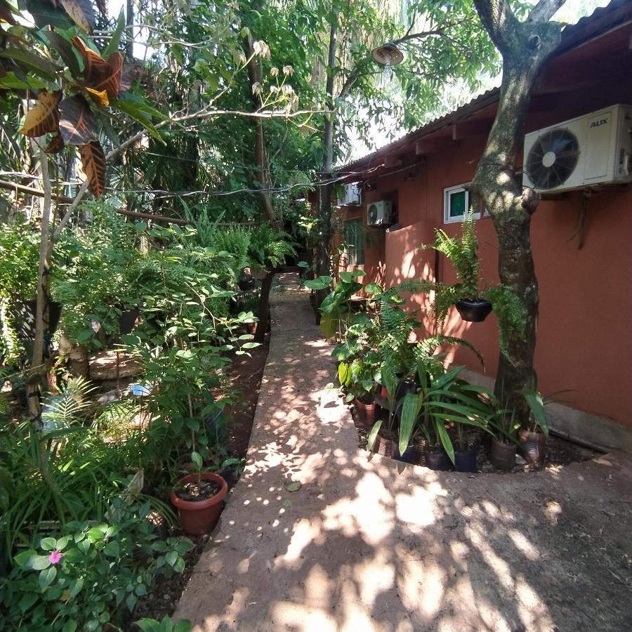 Hostel Guazu Puerto Iguazú Exterior foto