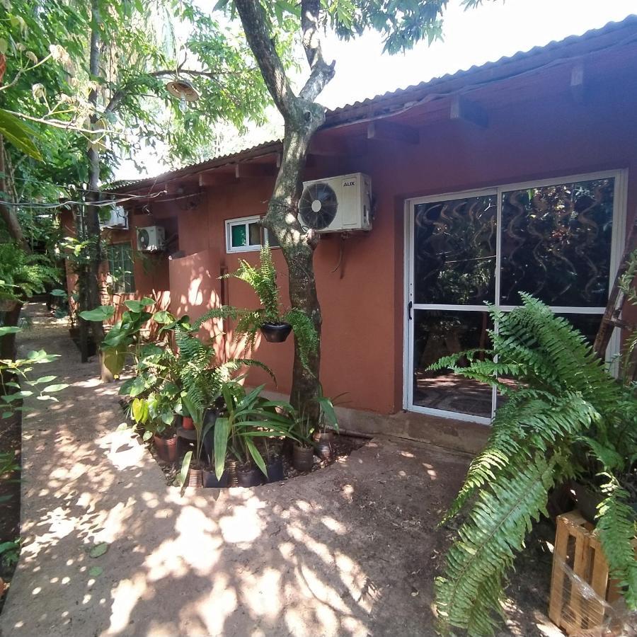 Hostel Guazu Puerto Iguazú Exterior foto